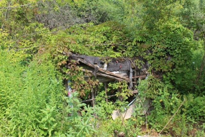 Опубликованы фото оврагов заброшенных участков СНТ в Нижнем Новгороде - фото 3