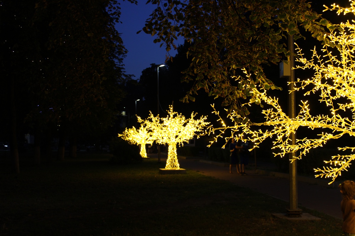Светодиодные деревья появились около Автозаводского парка - фото 1