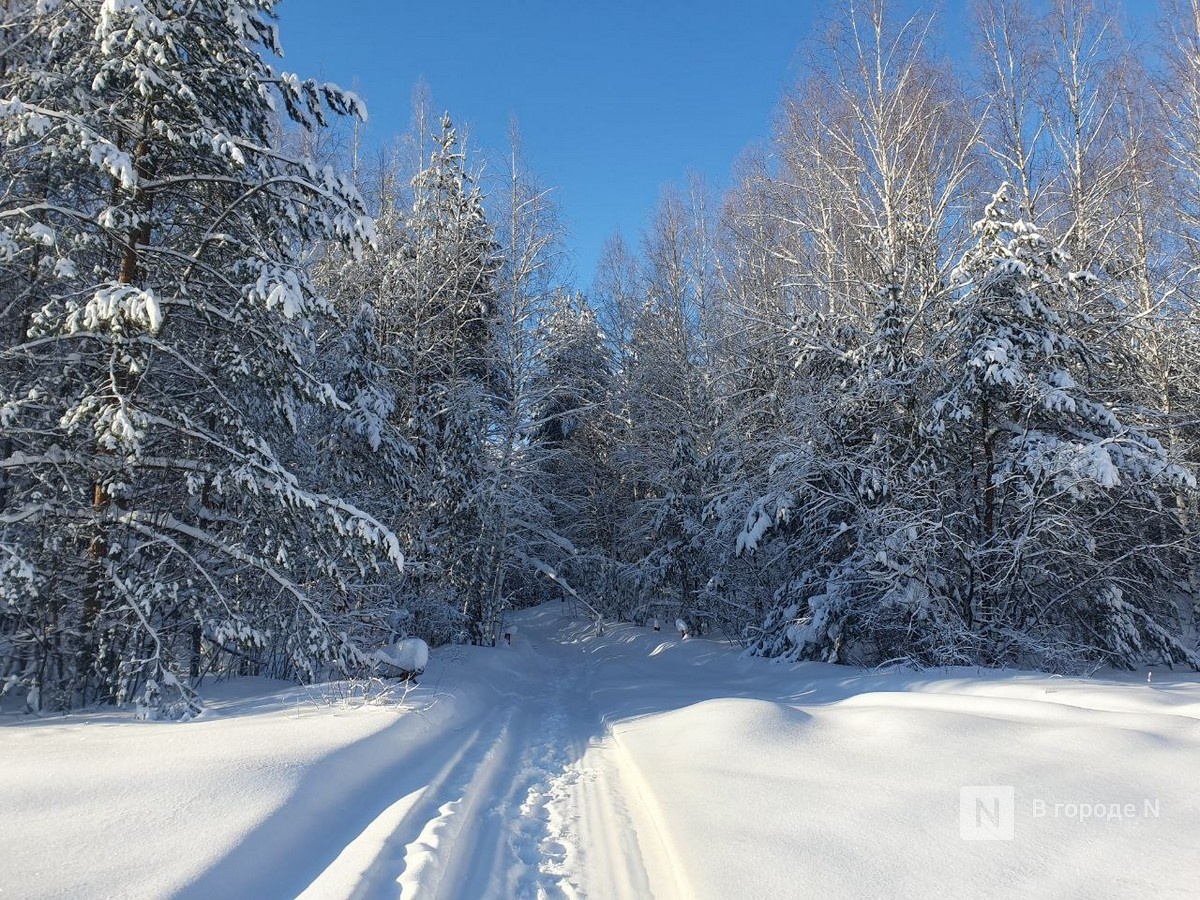 Нижегородцам рассказали, какую погоду ждать в новогодние праздники - фото 1