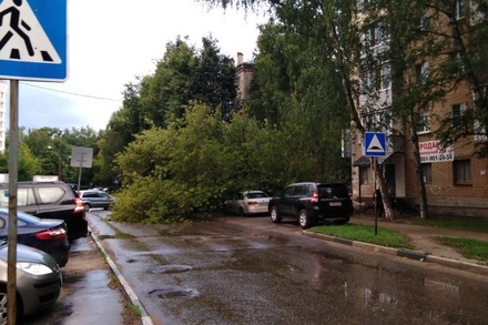 Ветер повалил дерево на автомобиль в одном из дворов Ленинского района