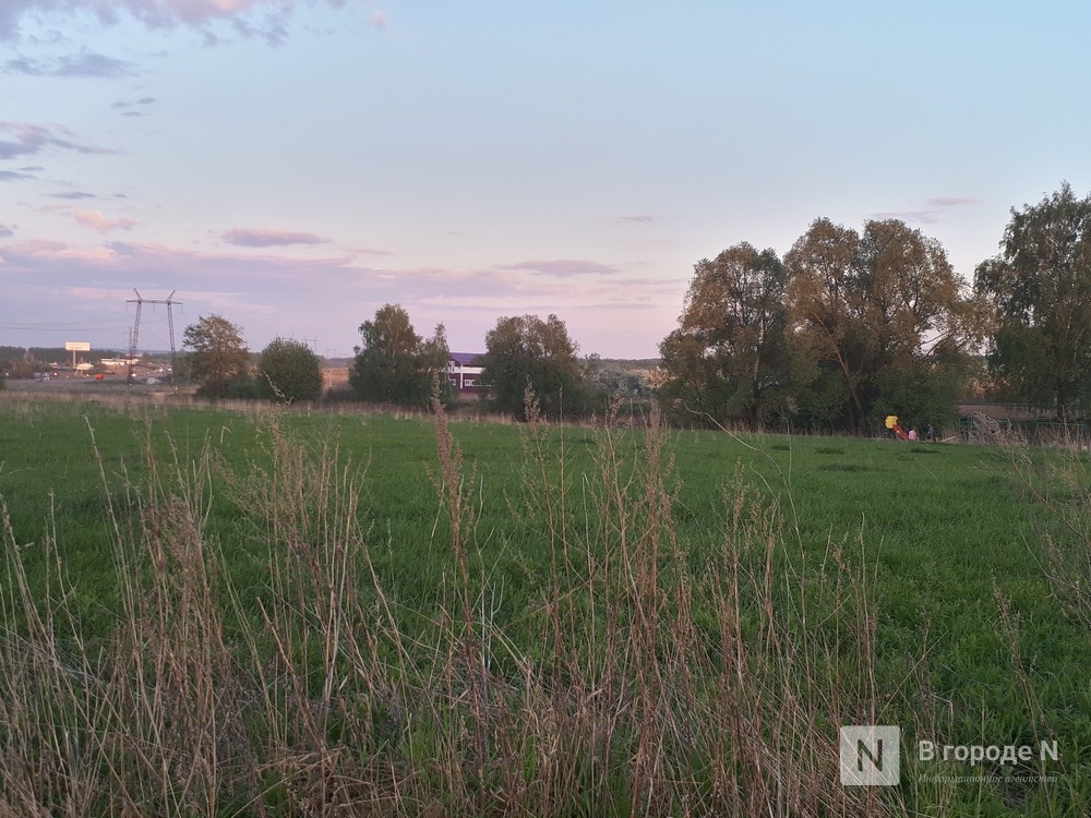 Участникам СВО планируют отдавать неиспользуемую землю в Нижегородской области - фото 1