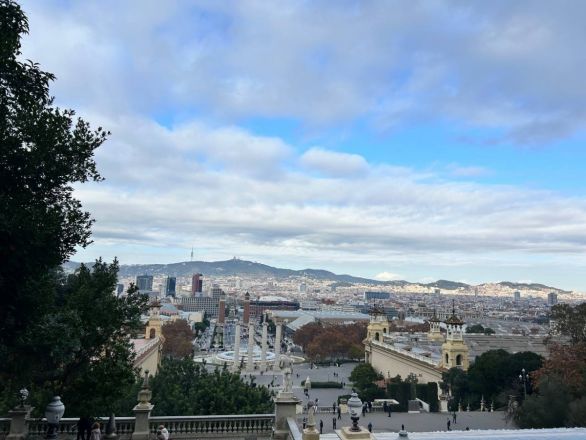 Морские гады, руины и потрясающий климат: вся правда о путешествии Барселона &mdash; Рим - фото 65