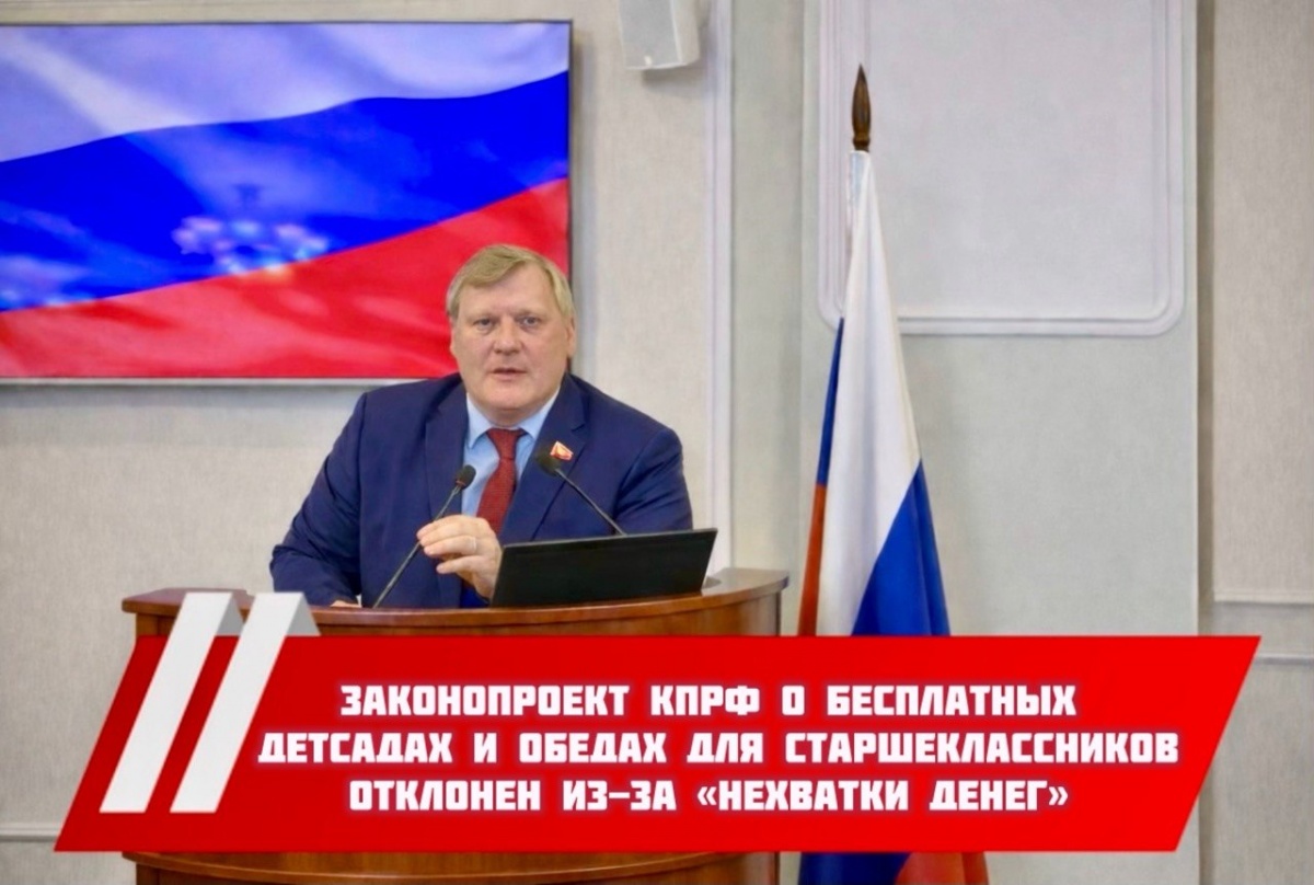 ЗСНО отклонило законопроект КПРФ о бесплатных детсадах и обедах для школьников - фото 1