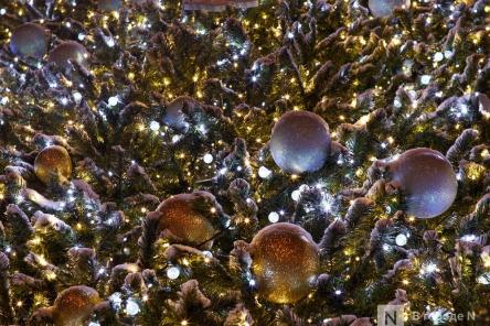 Новогодний стол &mdash; 2026: считаем, сколько денег придется потратить нижегородцам