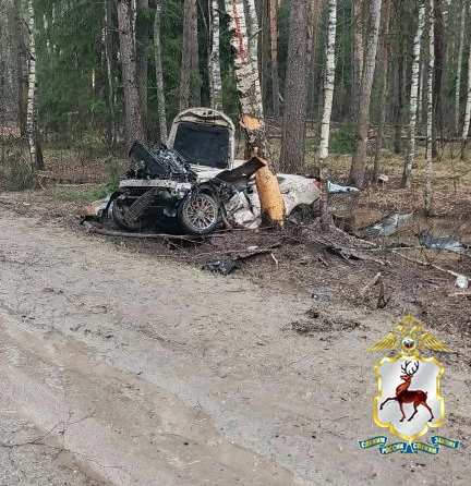 Опубликованы фото с места ДТП в Нижегородской области, где погибли три человека - фото 1