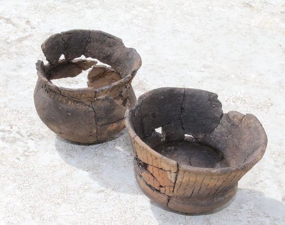 Кузнечихинские древности: что нашли археологи при раскопках - фото 22