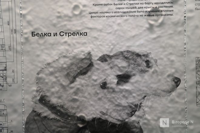 Это космос: как выглядит планетарий в Нижнем Новгороде после реставрации - фото 18