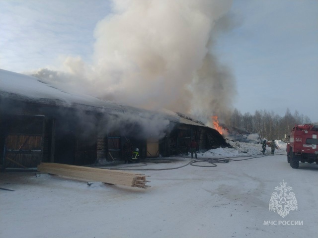 Крупный пожар вспыхнул на пилораме в Нижегородской области - фото 1