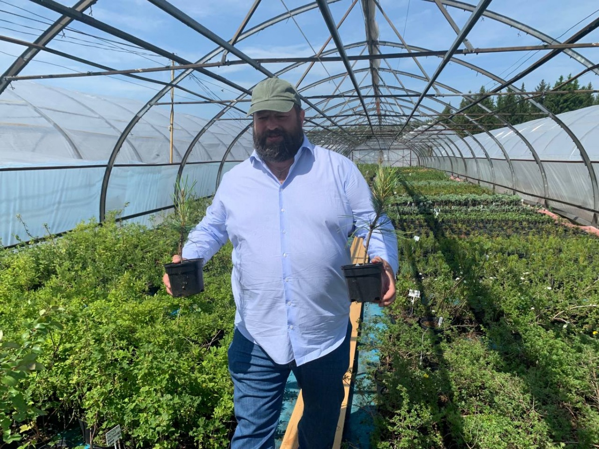 Нижегородские депутаты изучили в Семенове процесс восстановления лесов - фото 1