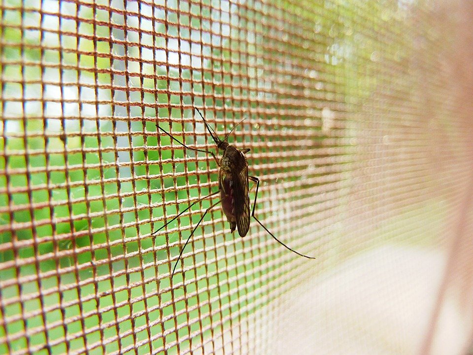 Как выбирать средства от комаров и правильно ими пользоваться - фото 3