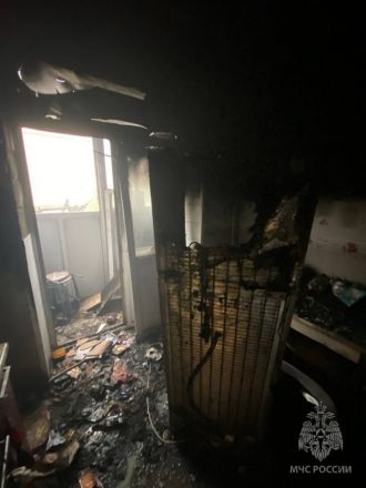 Пожар из-за холодильника вспыхнул в Автозаводском районе - фото 2