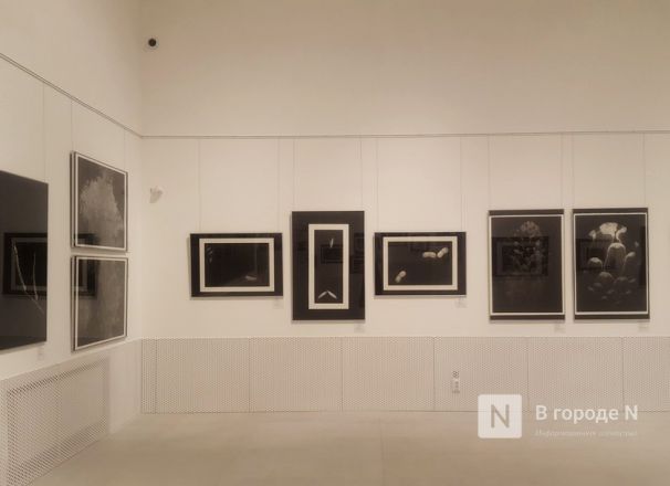 Из темноты к свету: уникальная выставка графики меццо-тинто проходит в пакгаузах на Стрелке - фото 9