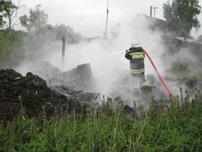 Крупный пожар уничтожил постройку в селе Уразовка - фото 1