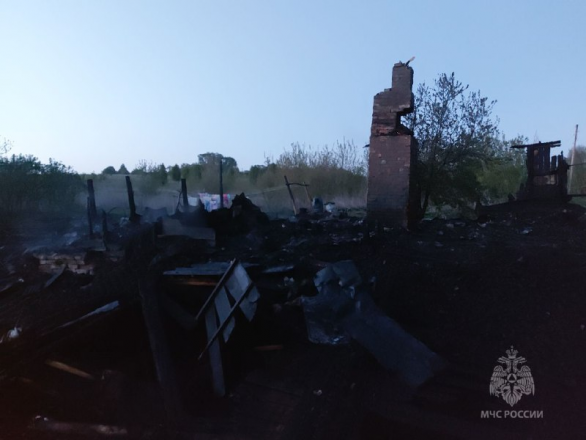 Опубликованы фото с места смертельного пожара в Лукояновском округе - фото 2