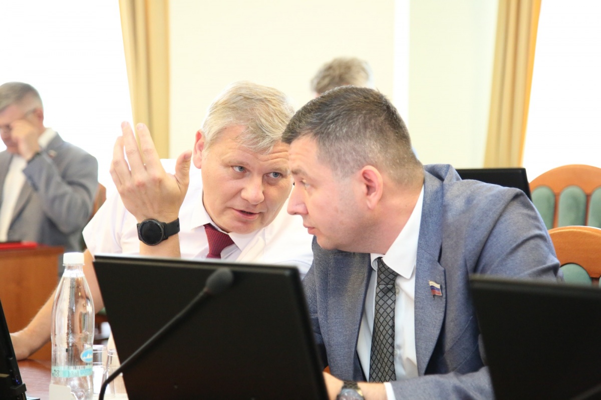 Депутаты ЗСНО обсудили исполнение областного бюджета за 2024 год - фото 1