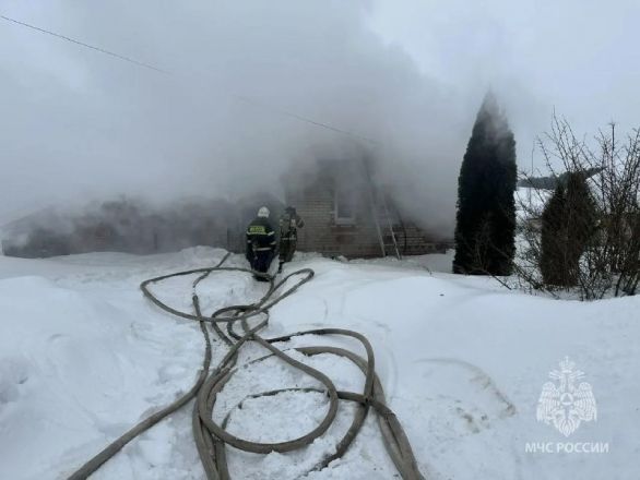 Двое маленьких детей погибли на пожаре в Нижегородской области - фото 2