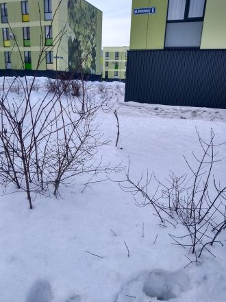 Подозрительное вещество на снегу обнаружили жители Кстовского района - фото 2