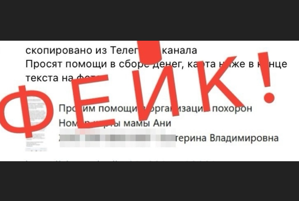 Мошенники собирают деньги на похороны нижегородского волонтера Анны Белеменко - фото 1