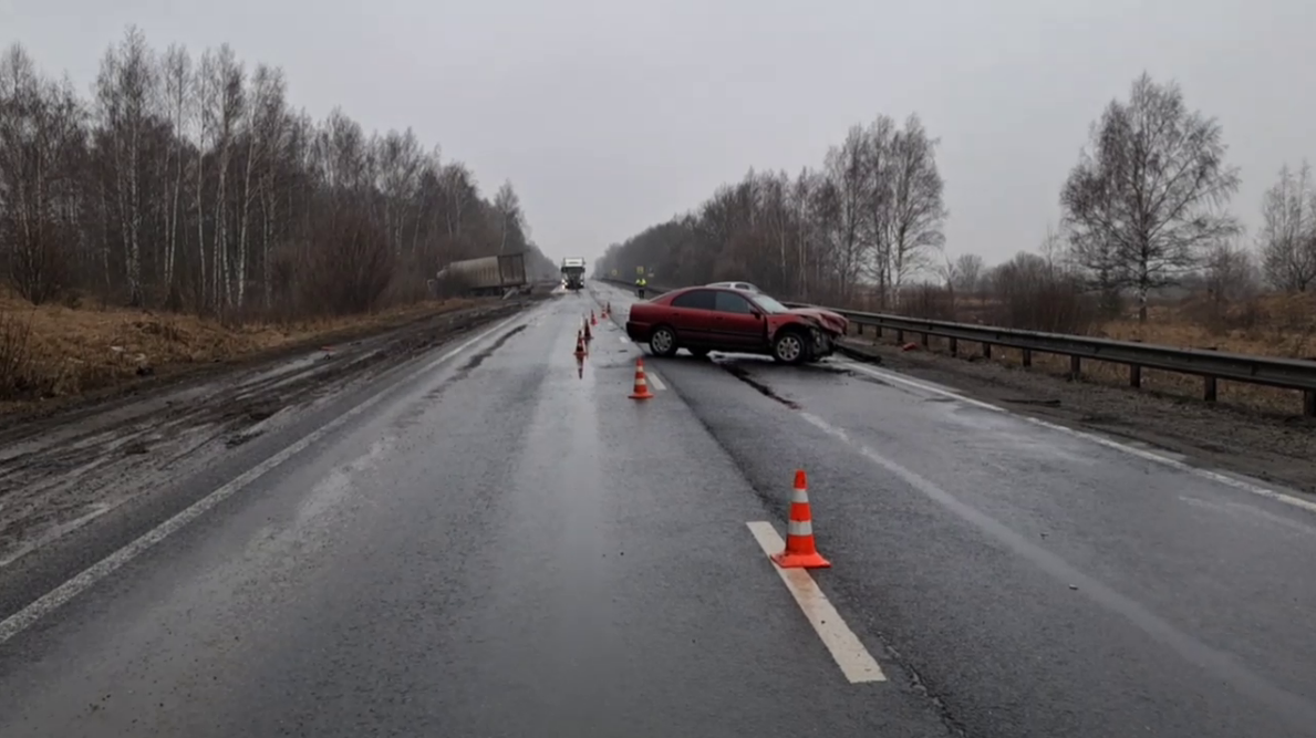 Три человека пострадали в ДТП на трассе М-7 в Нижегородской области - фото 1