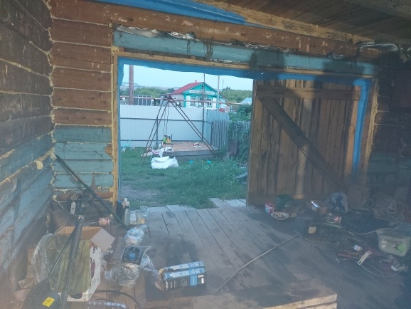 Житель Сеченовского района устроил наркоплантацию в подвале гаража - фото 1