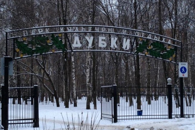 Абсолютным лидером голосования за благоустройство в Нижнем Новгороде стал парк &laquo;Дубки&raquo; - фото 1