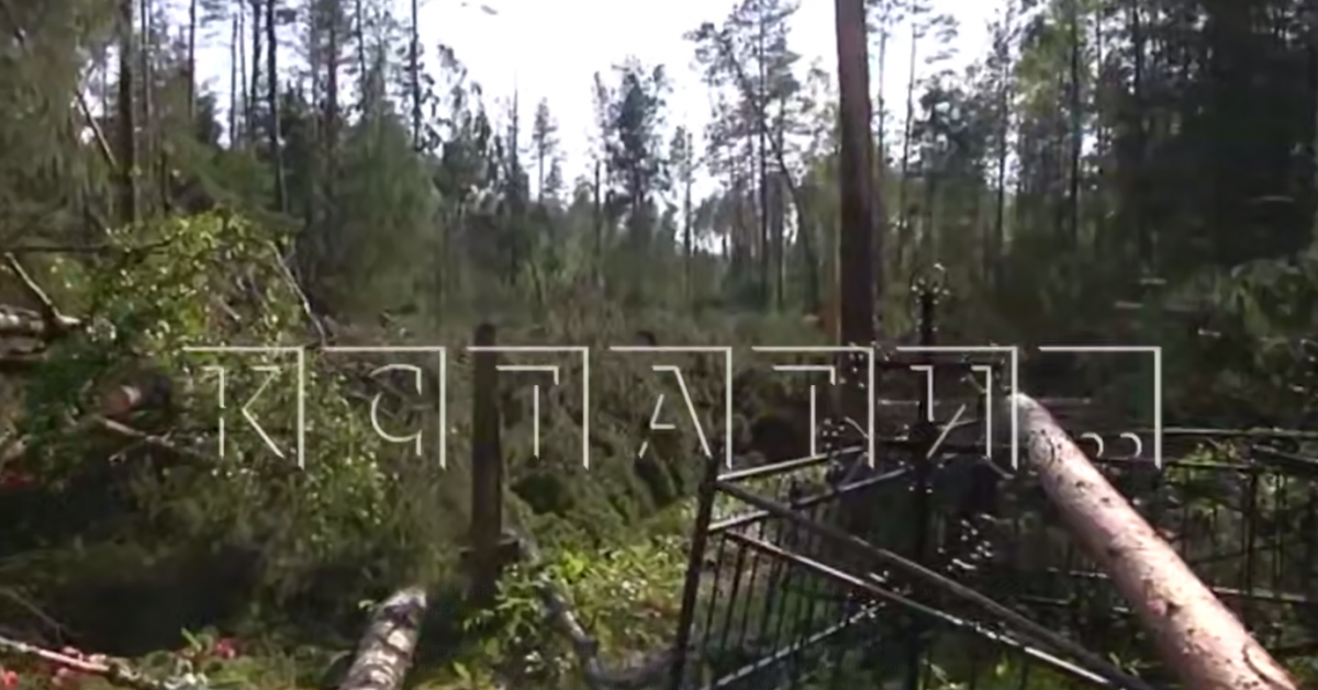 Сильный смерч обрушился на кладбище под Нижним Новгородом - фото 1