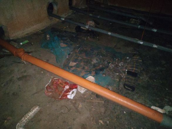 Жильцы дома на улице Акимова жалуются на заселивших подвал крыс - фото 2