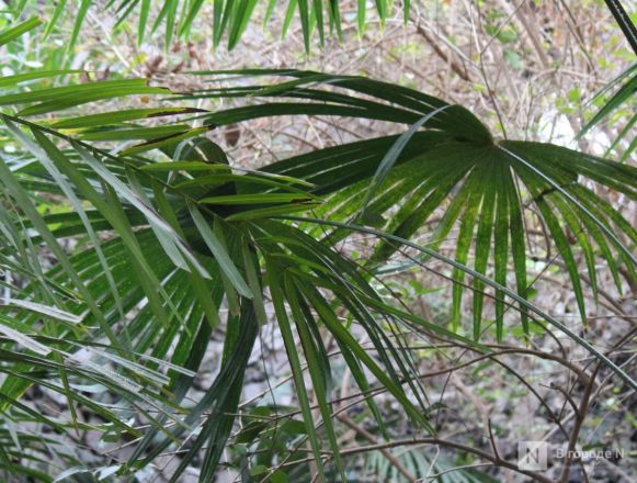 Бобры, костелы и закрытые музеи: плюсы и минусы отдыха в Белоруссии зимой - фото 55