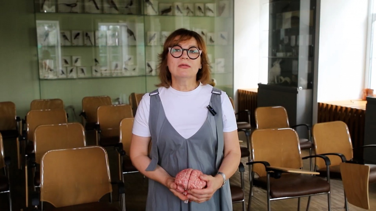 Нижегородский ученый рассказала об отличии мужского мозга от женского - фото 1