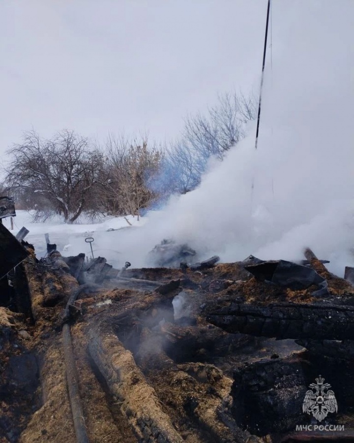 88-летняя женщина погибла на пожаре в доме в Нижегородской области - фото 2