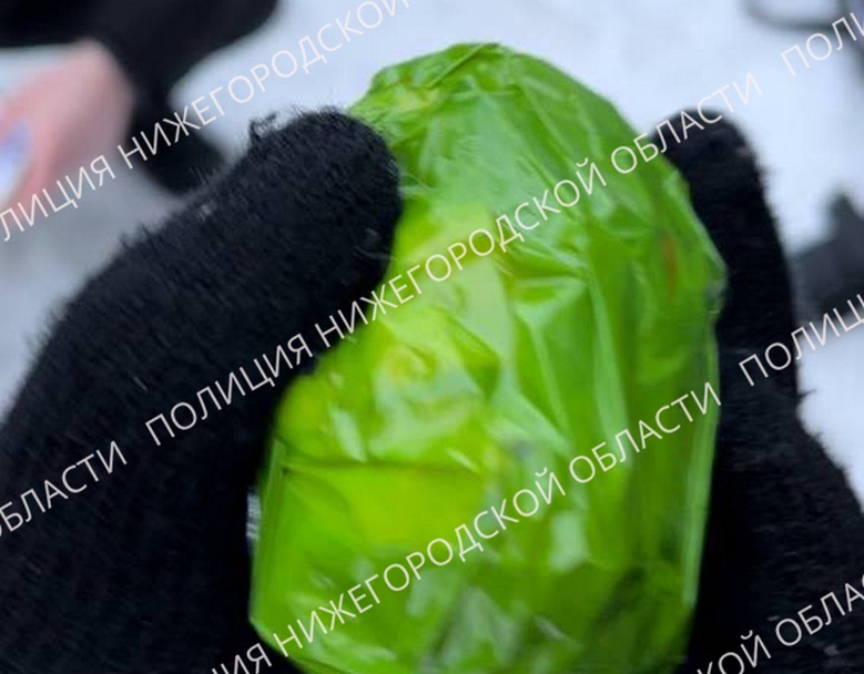 Полкилограмма наркотиков изъяли у 25-летнего иностранца в Нижнем Новгороде - фото 1