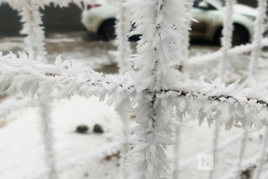 Стало известно, ударят ли крещенские морозы в Нижнем Новгороде в 2026 году - фото 1
