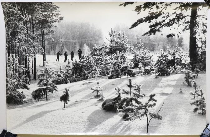 Самые снежные и морозные зимы в истории Нижнего Новгорода: какими они были - фото 40