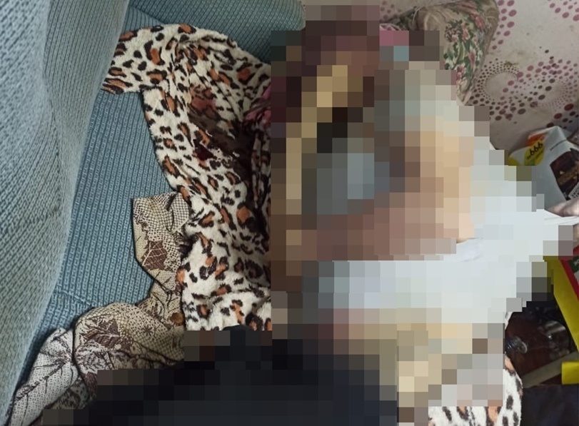 Житель Заволжья забил до смерти гостя из-за ревности к подруге - фото 1