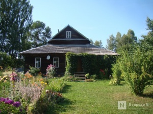 Четверть нижегородцев проведет летний отпуск на дачах