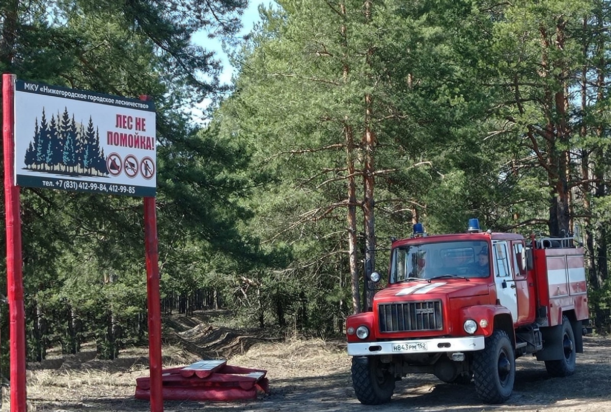Третий класс пожароопасности установили в лесах Нижнего Новгорода - фото 1