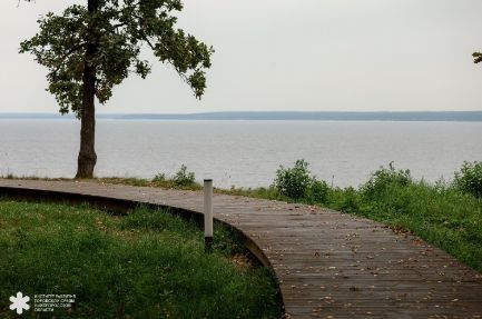 Обновленный Пановский сад открылся в Нижегородской области - фото 4