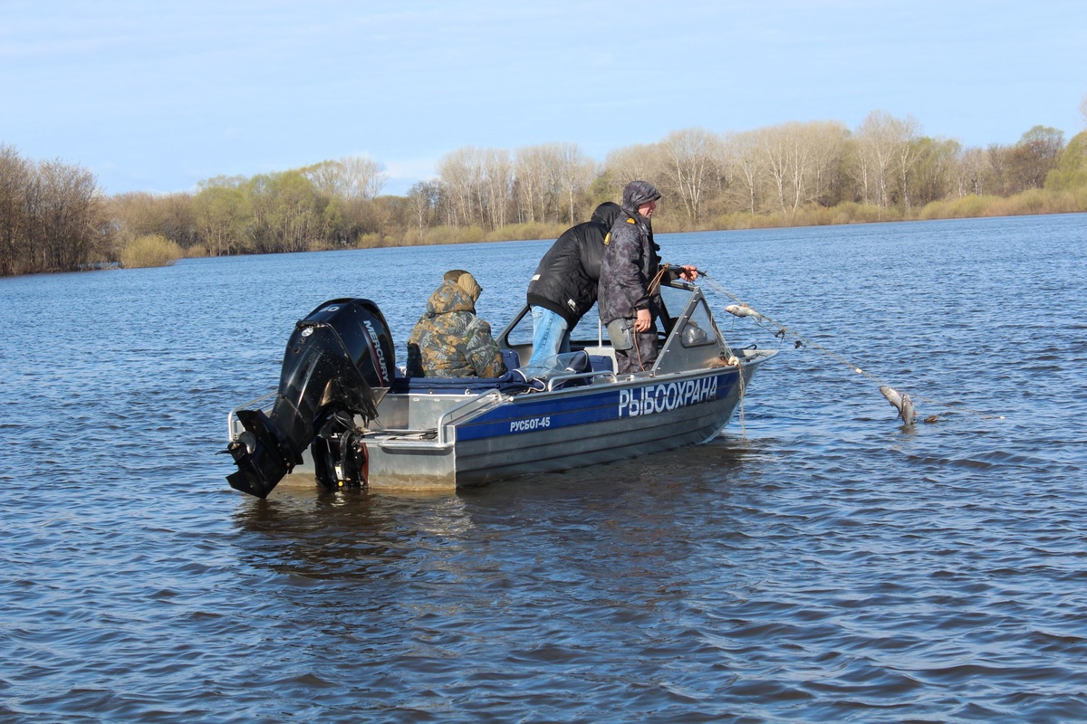 Более 400 рыб спасено из браконьерских сетей в водоемах Нижегородской области